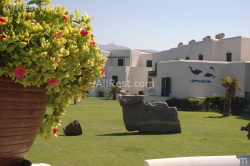 Holiday Sun Hotel 3